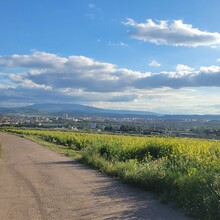 Xander Hartwood - Camino de Santiago - Camino Francés (Spain)