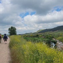 Xander Hartwood - Camino de Santiago - Camino Francés (Spain)
