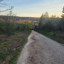 Xander Hartwood - Camino de Santiago - Camino Francés (Spain)