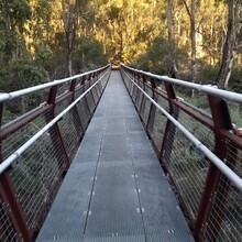 Rhys Crosswell - Wiilman Bilya Trail