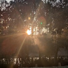 Rhys Crosswell - Wiilman Bilya Trail