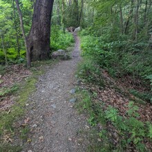 Torin Clark - Boston Walking City Trail (MA)