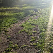 Torin Clark - Boston Walking City Trail (MA)