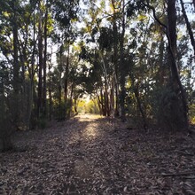 Hezekiah Tan - Kep Track