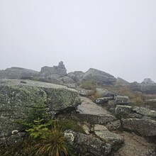 Corin Kwasnik - Pemidential (NH)