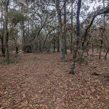 Ray ""Geared Up"" Reynoso - Sea to Summit - Florida (FL)