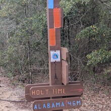 Ray ""Geared Up"" Reynoso - Sea to Summit - Florida (FL)