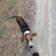 Ray ""Geared Up"" Reynoso - Sea to Summit - Florida (FL)