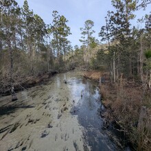 Ray ""Geared Up"" Reynoso - Sea to Summit - Florida (FL)