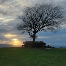 Suki Nightsward - Cleeve Hill Ring (United Kingdom)