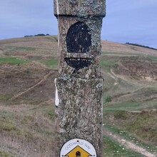 Suki Nightsward - Cleeve Hill Ring (United Kingdom)