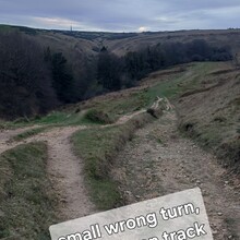 Suki Nightsward - Cleeve Hill Ring (United Kingdom)