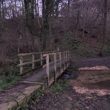 Suki Nightsward - Cleeve Hill Ring (United Kingdom)