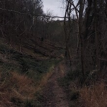 Suki Nightsward - Cleeve Hill Ring (United Kingdom)