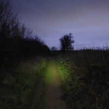 Suki Nightsward - Cleeve Hill Ring (United Kingdom)