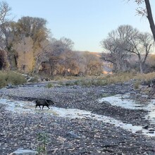Mac Haas - Big Bend 100 (TX)