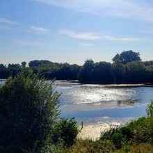 David Büchner - Socratic Trail