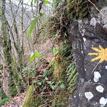 Geert van Nispen - Camino de Santiago de Compostela - Luxembourg (Luxembourg)