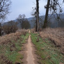 Geert van Nispen - Camino de Santiago de Compostela - Luxembourg (Luxembourg)