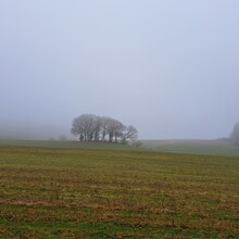 Geert van Nispen - Camino de Santiago de Compostela - Luxembourg (Luxembourg)