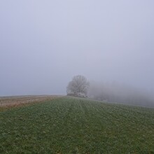 Geert van Nispen - Camino de Santiago de Compostela - Luxembourg (Luxembourg)