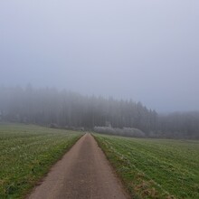 Geert van Nispen - Camino de Santiago de Compostela - Luxembourg (Luxembourg)