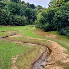 David Büchner - Socratic Trail