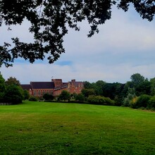 David Büchner - Socratic Trail