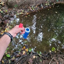 David Büchner - Socratic Trail