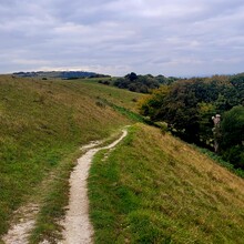 David Büchner - Socratic Trail