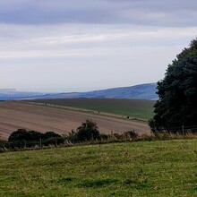 David Büchner - Socratic Trail