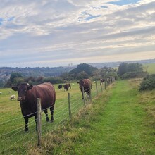 David Büchner - Socratic Trail