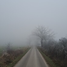 Geert van Nispen - Camino de Santiago de Compostela - Luxembourg (Luxembourg)