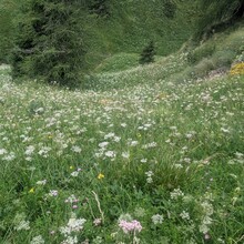 Erikjan Cuperus - Alta Via Dolomiti n. 1 (Italy)