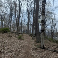 Steven Estremera - Cushetunk trail - around Round Valley Reservoir (NJ)