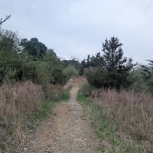 Steven Estremera - Cushetunk trail - around Round Valley Reservoir (NJ)