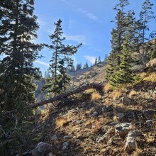 Robyn Lesh - Parrott Peak (CO)