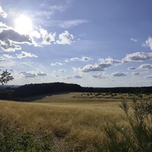 Ingo Warken - Münstereifelsteig