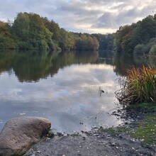 Wolter de Lange - Hondsrug (Netherlands)