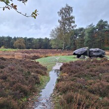 Wolter de Lange - Hondsrug (Netherlands)