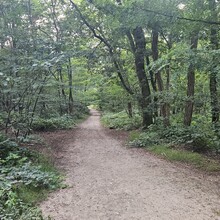 Marian Vasile - Grebbeberg - Kwintelooijen (The Netherlands)