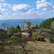 Francesco BIanco - Kyoto Isshu Trail