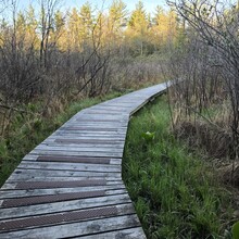 Georgetta M Frederick - Allegheny Front Trail (PA)