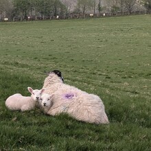 Samantha Baker - Yorkshire Three Peaks (United Kingdom)