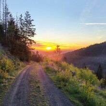 Ole Krämer - Saalferder Höhenweg (Saalfeld-Neuhaus am Rennweg)