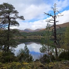 Erin Rendall - Affric Kintail Way (United Kingdom)