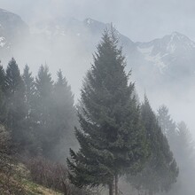 Stephanie Grebner - AAT Dreznice - Tolmin