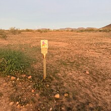 Joshua Locke - Maricopa Loop (AZ)