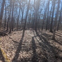 Walker Yane - Berryman Trail (MO)