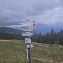 Martino Salvaro - Bersntol ring (Italy)